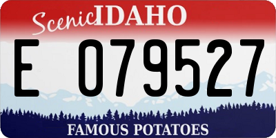 ID license plate E079527