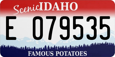 ID license plate E079535