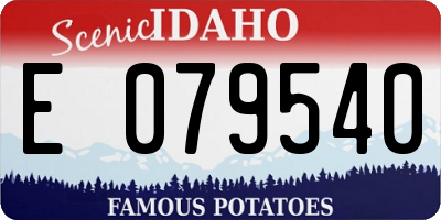 ID license plate E079540