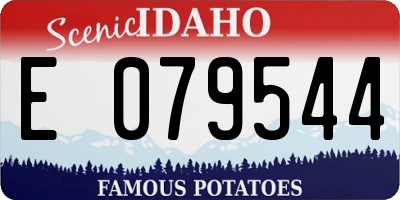 ID license plate E079544