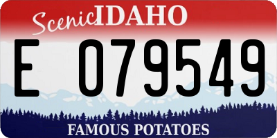 ID license plate E079549