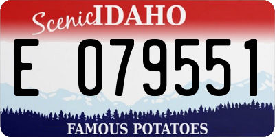 ID license plate E079551