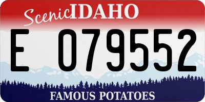 ID license plate E079552