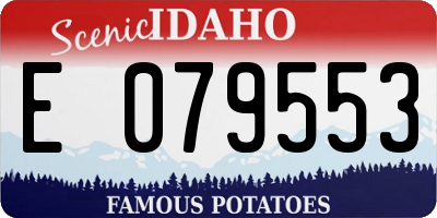 ID license plate E079553
