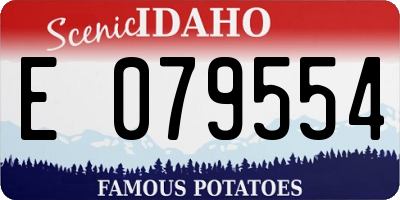 ID license plate E079554
