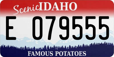 ID license plate E079555