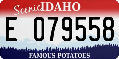 ID license plate E079558