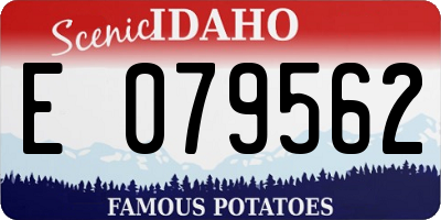 ID license plate E079562