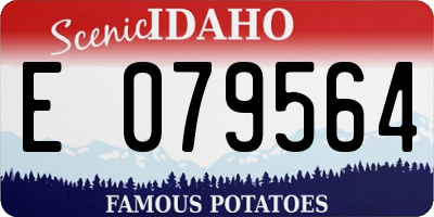 ID license plate E079564