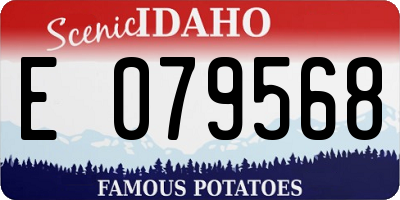 ID license plate E079568