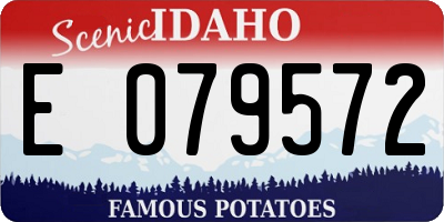 ID license plate E079572