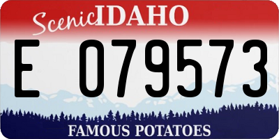 ID license plate E079573