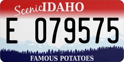 ID license plate E079575