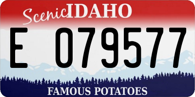 ID license plate E079577