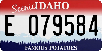 ID license plate E079584