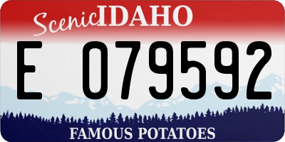 ID license plate E079592