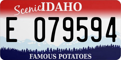 ID license plate E079594