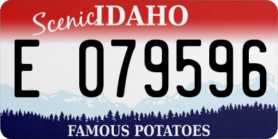 ID license plate E079596