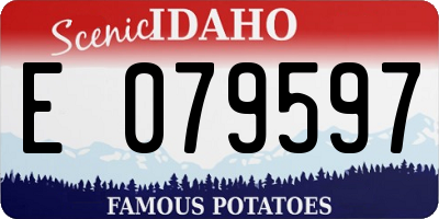 ID license plate E079597
