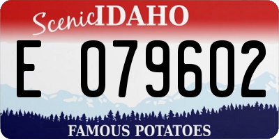 ID license plate E079602
