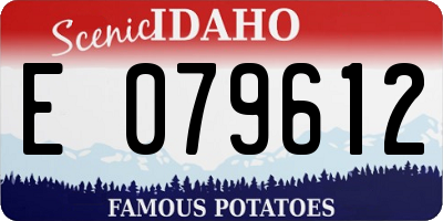 ID license plate E079612