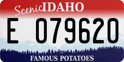 ID license plate E079620
