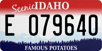 ID license plate E079640