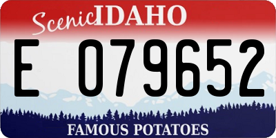 ID license plate E079652