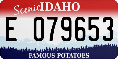 ID license plate E079653