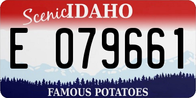 ID license plate E079661