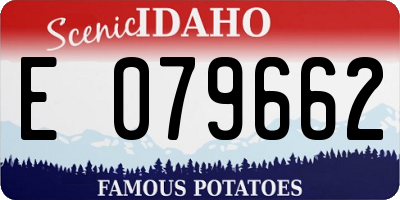 ID license plate E079662