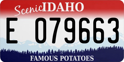 ID license plate E079663