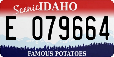 ID license plate E079664