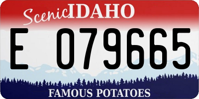 ID license plate E079665