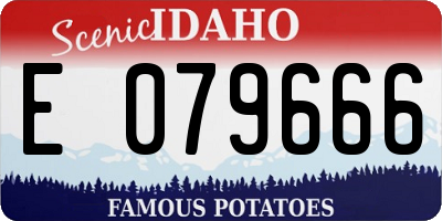 ID license plate E079666