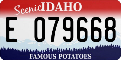 ID license plate E079668
