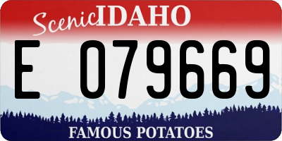 ID license plate E079669