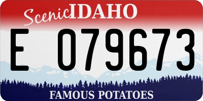 ID license plate E079673