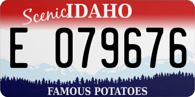 ID license plate E079676