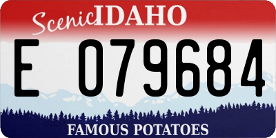 ID license plate E079684