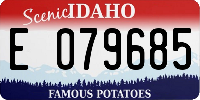 ID license plate E079685