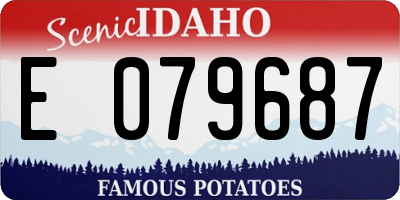 ID license plate E079687