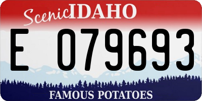 ID license plate E079693