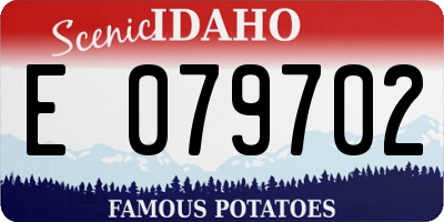 ID license plate E079702