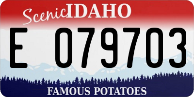 ID license plate E079703