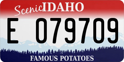 ID license plate E079709