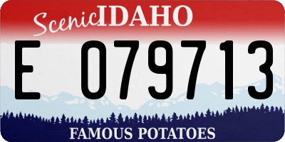 ID license plate E079713