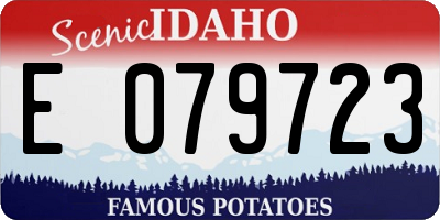 ID license plate E079723