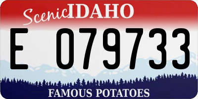 ID license plate E079733