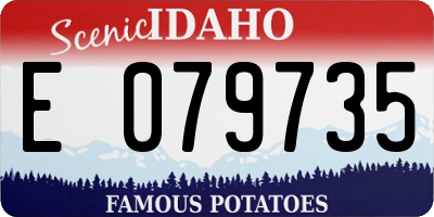 ID license plate E079735